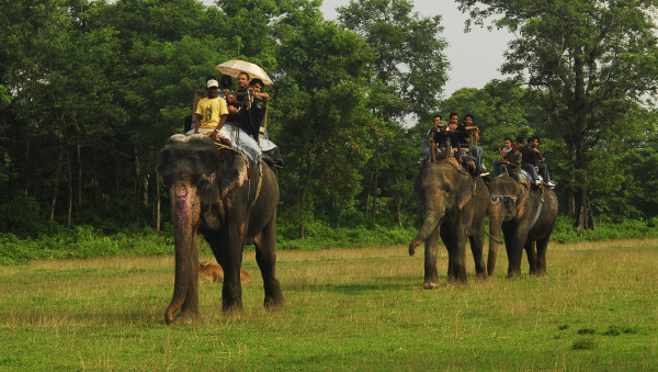 Ciudades Medievales y Safari